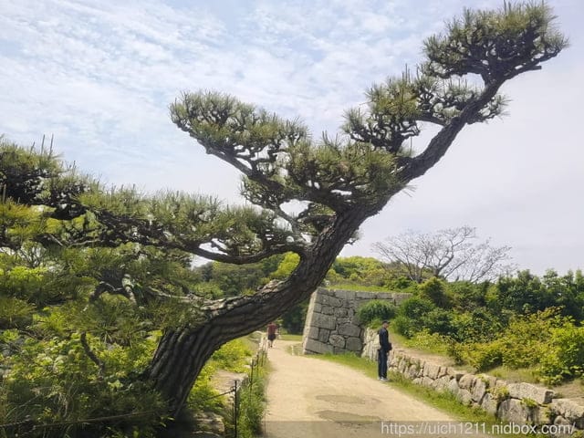 神戶之旅4