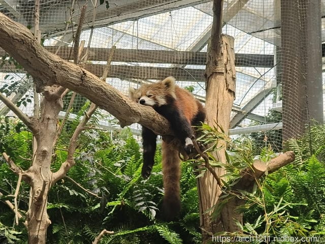 神戶之旅5 - 第44張圖 神戶之旅5