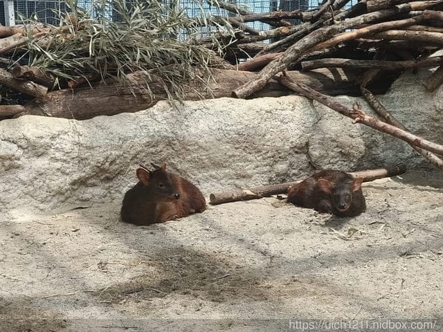 神戶之旅5 - 第61張圖 神戶之旅5