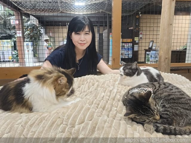 神戶之旅5 - 第28張圖 神戶之旅5