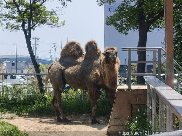 神戶之旅5 - 第56張圖 神戶之旅5