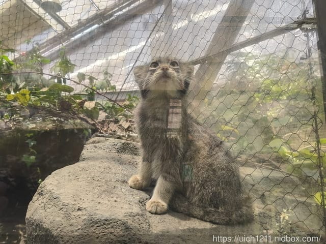 神戶之旅5 - 第42張圖 神戶之旅5