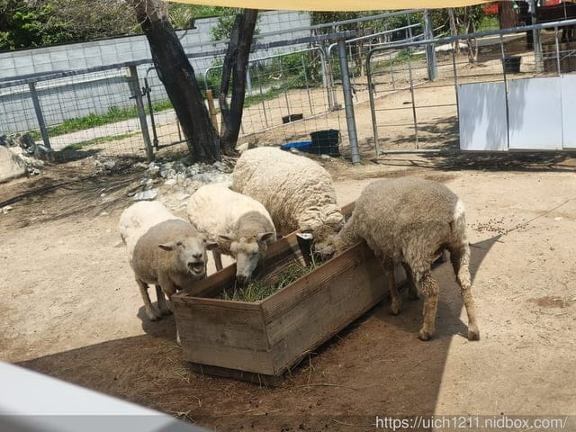 神戶之旅5 - 第54張圖 神戶之旅5
