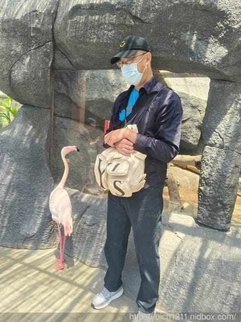 神戶之旅5 - 第81張圖 神戶之旅5