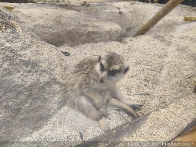 神戶之旅5 - 第37張圖 神戶之旅5