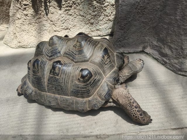 神戶之旅5 - 第62張圖 神戶之旅5