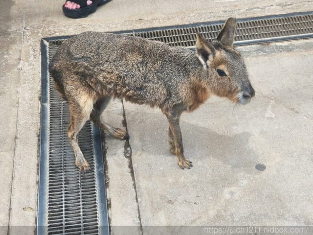 神戶之旅5 - 第64張圖 神戶之旅5