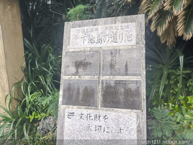 日本郵輪之旅 - 第61張圖 日本郵輪之旅