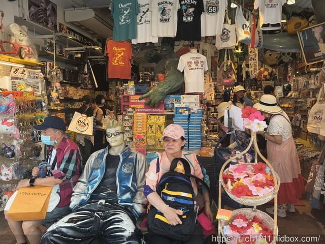 日本郵輪之旅 - 第44張圖 日本郵輪之旅