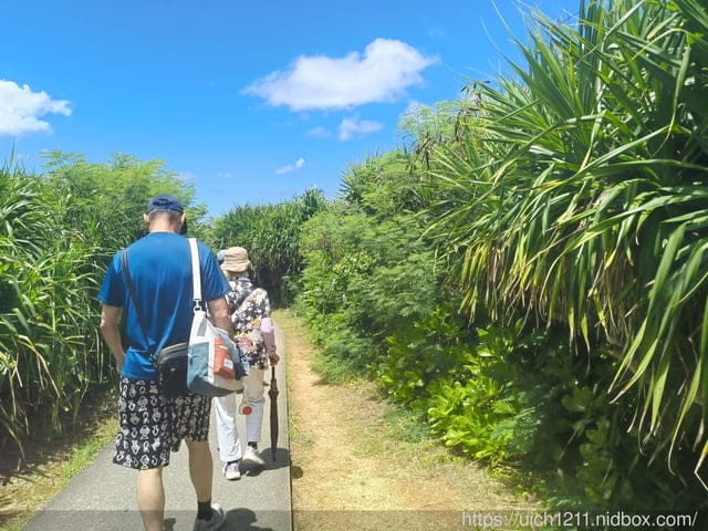 日本郵輪之旅 - 第63張圖 日本郵輪之旅
