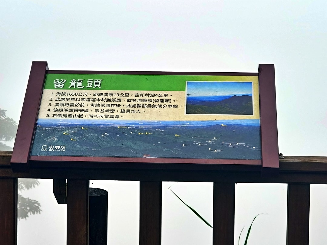 忘憂森林