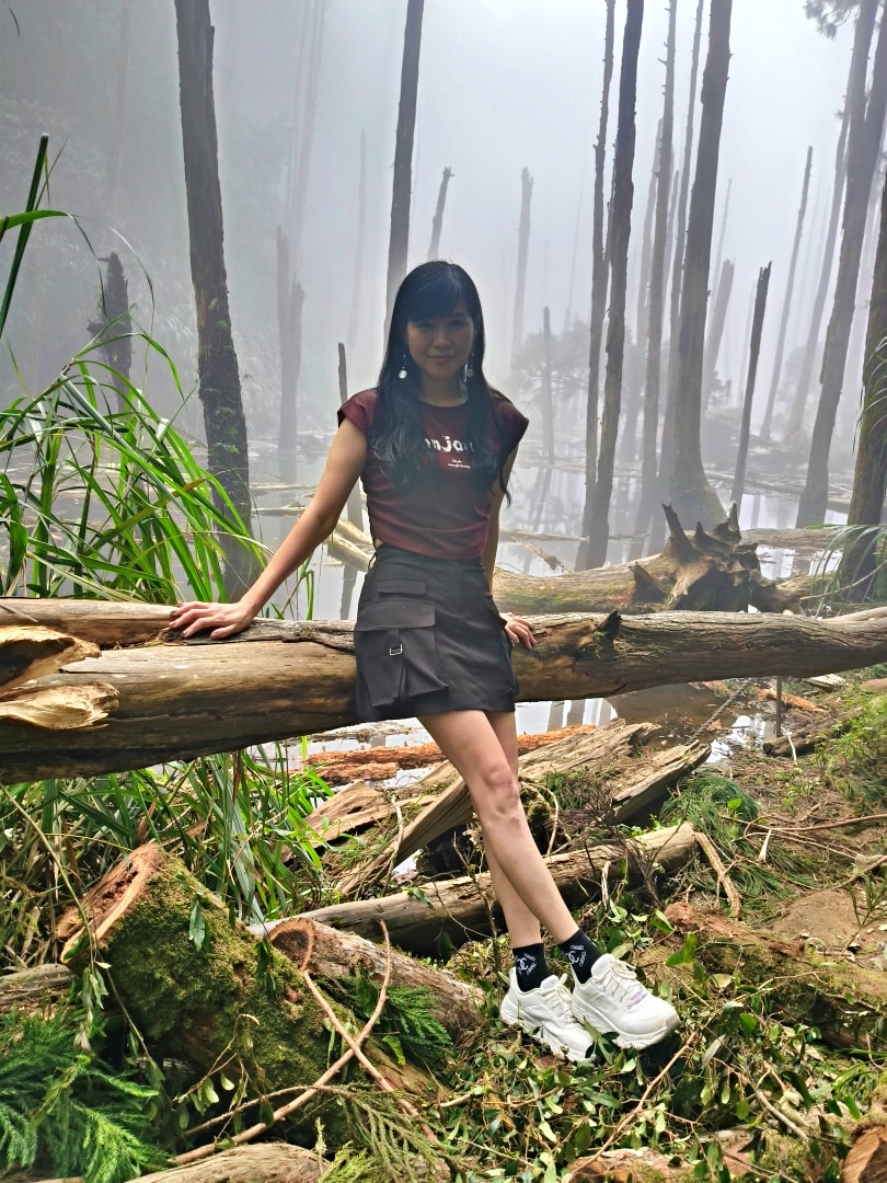 忘憂森林