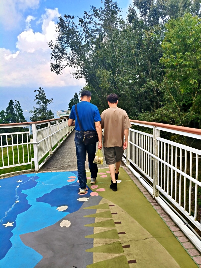 清境之旅 - 第4張圖 清境之旅