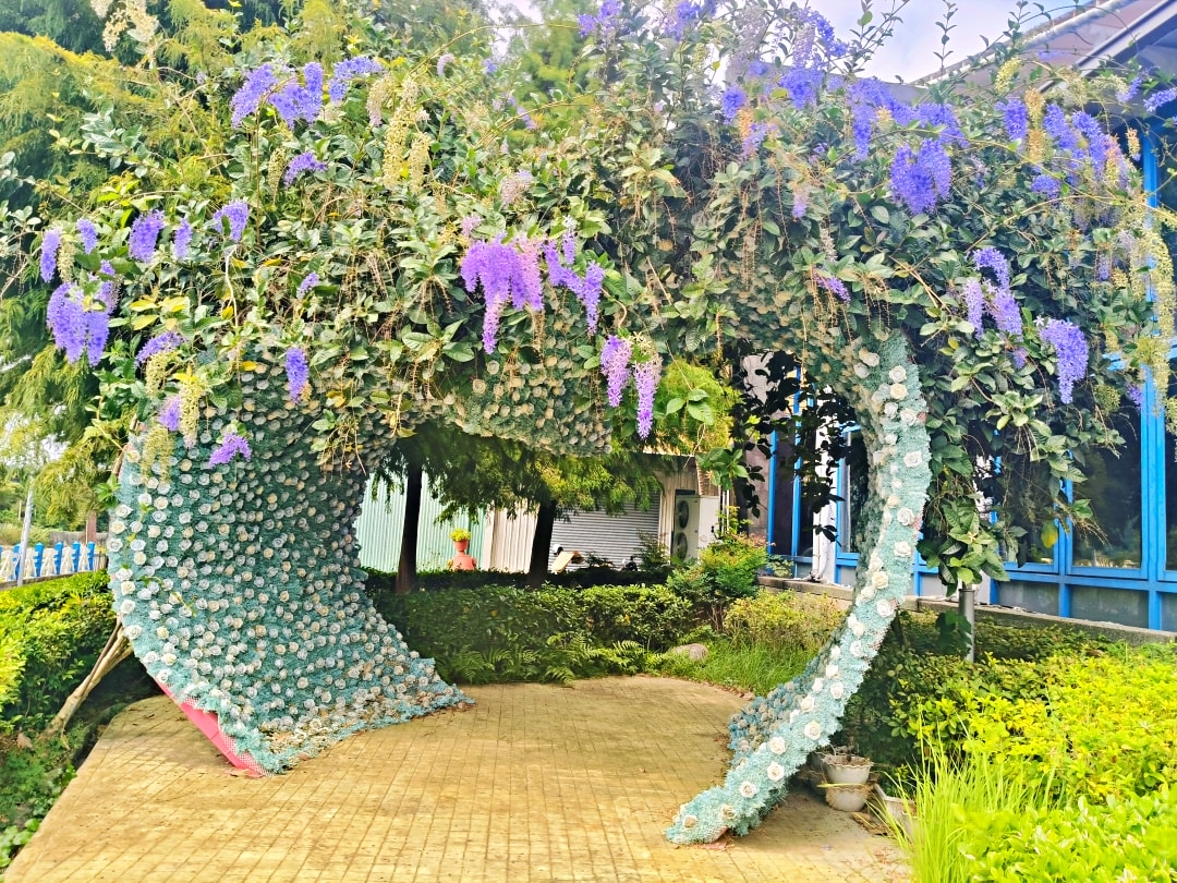 東勢谷關之旅