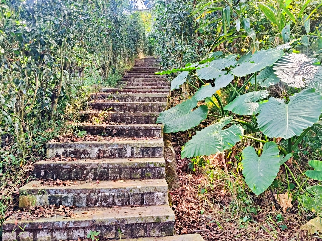 東勢谷關之旅