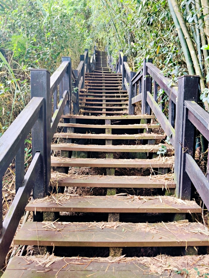 東勢谷關之旅