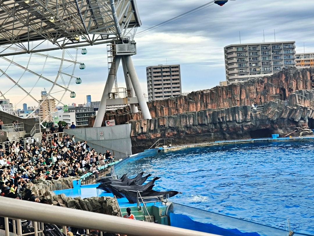 日本名古屋之旅2