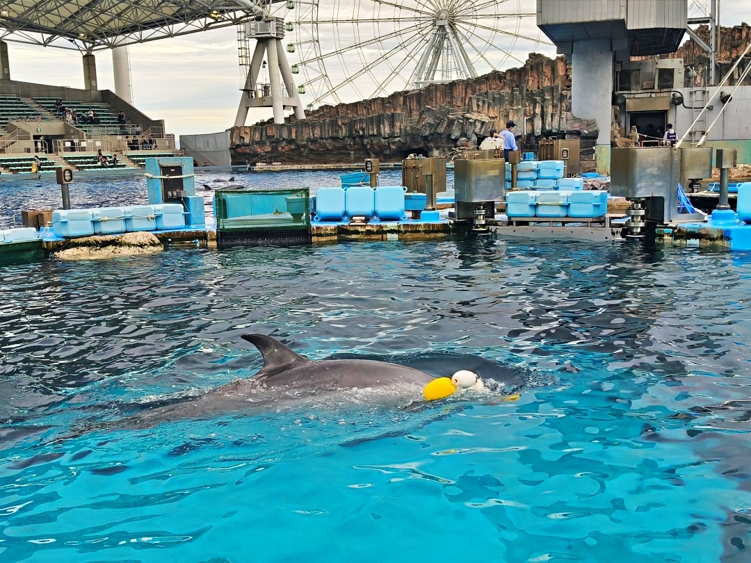 日本名古屋之旅2