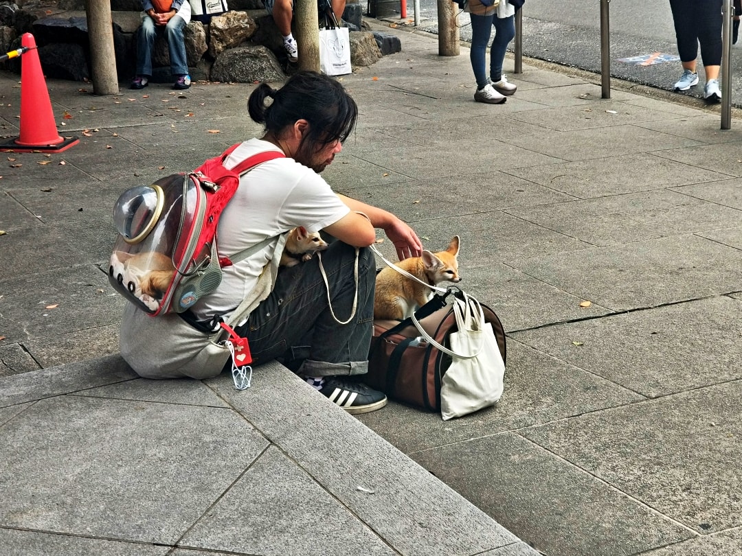 日本名古屋之旅2