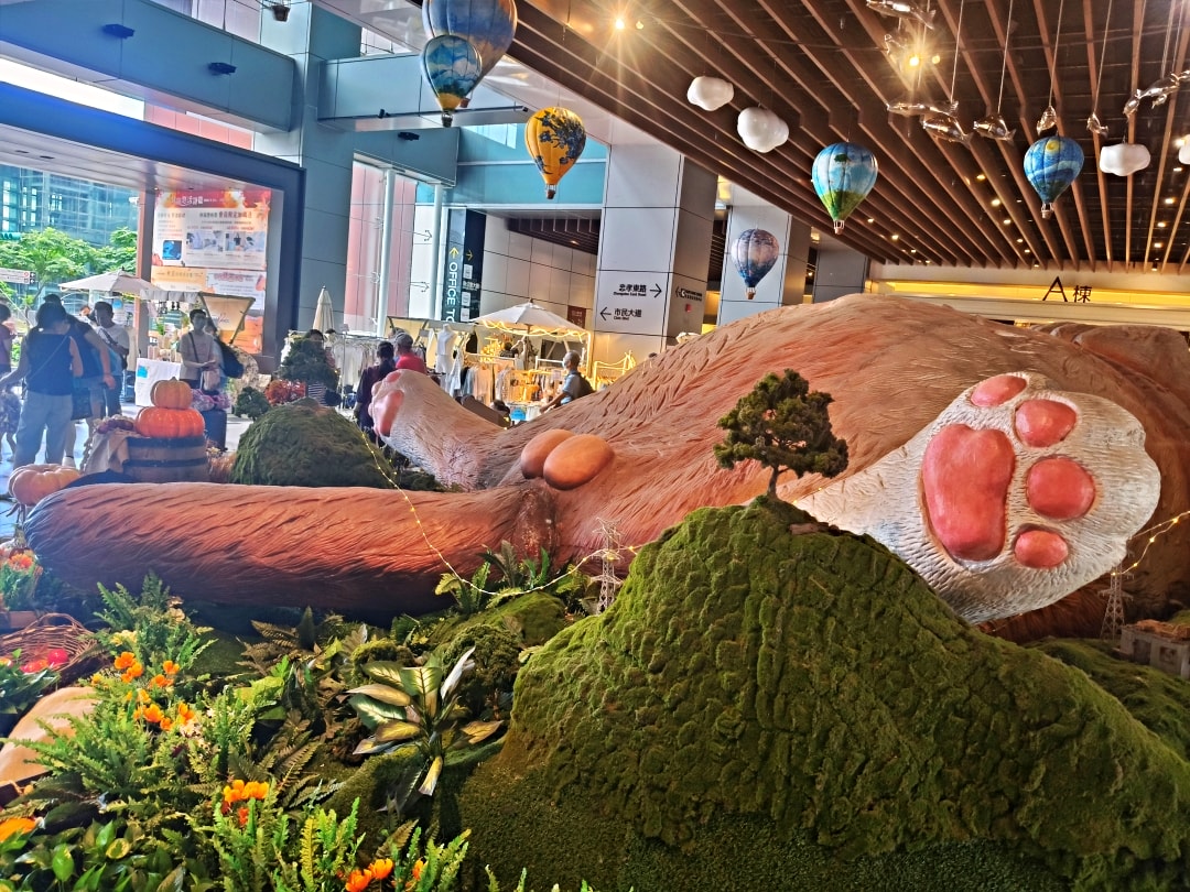 海風號之旅 - 第60張圖 海風號之旅