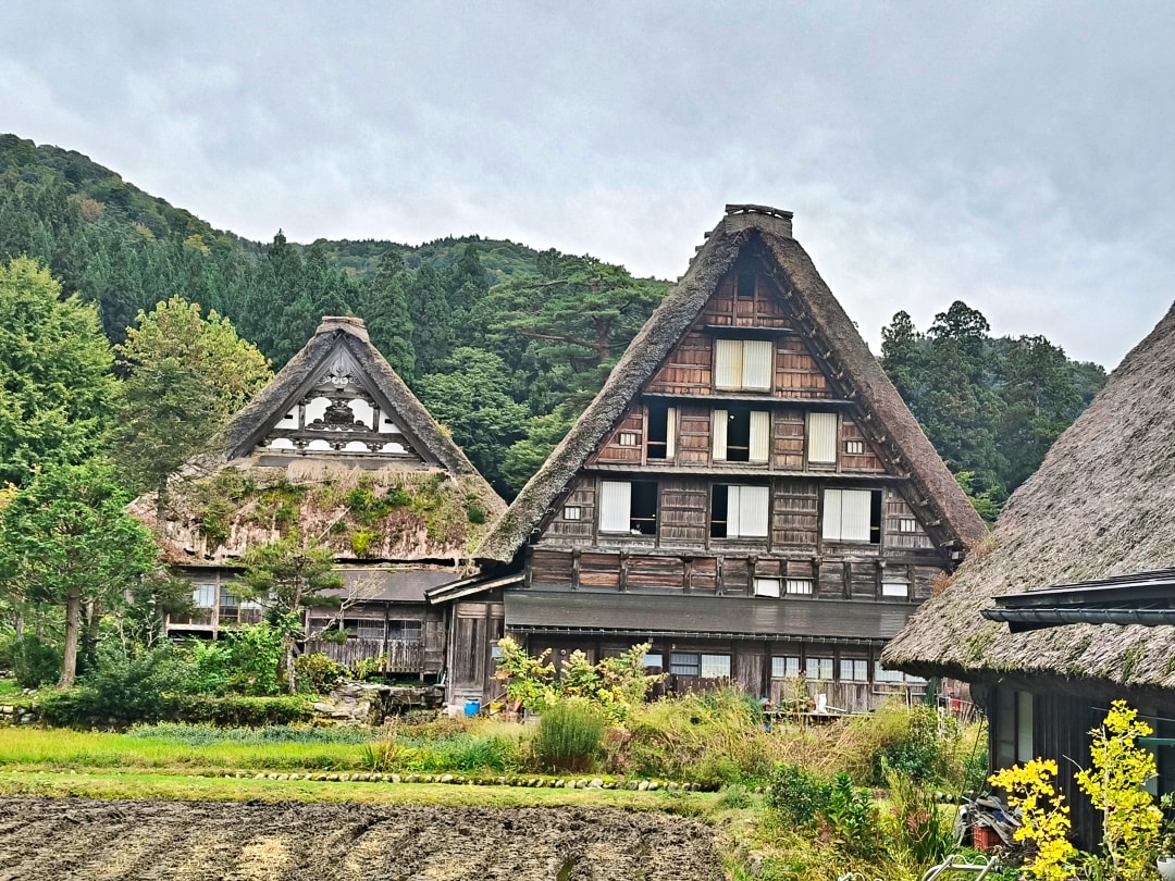 日本名古屋之旅4