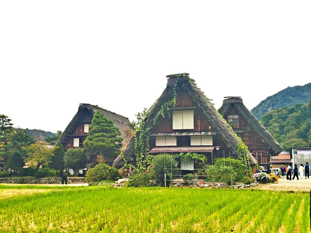 日本名古屋之旅4