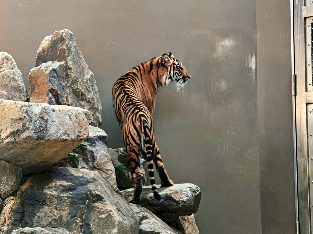 名古屋之旅6