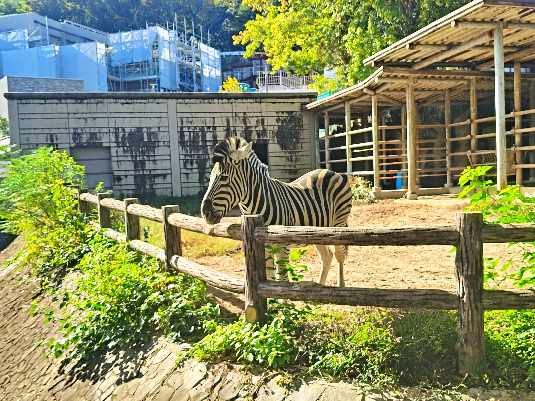 名古屋之旅6