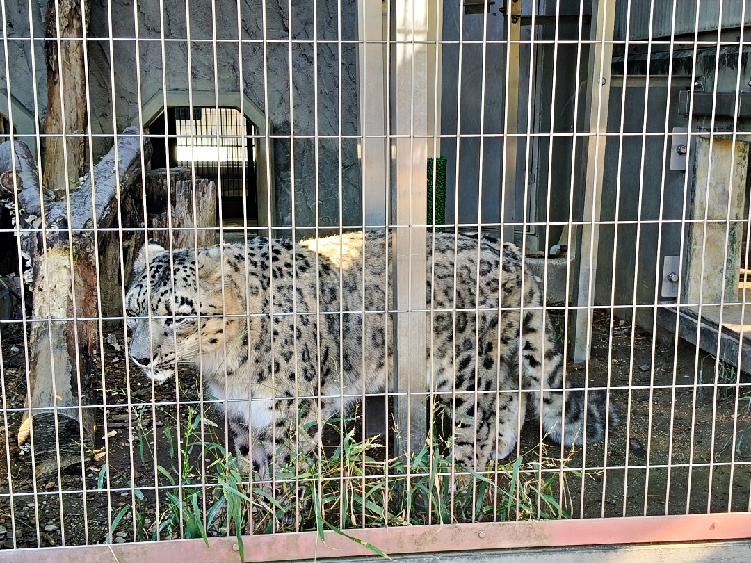 名古屋之旅6