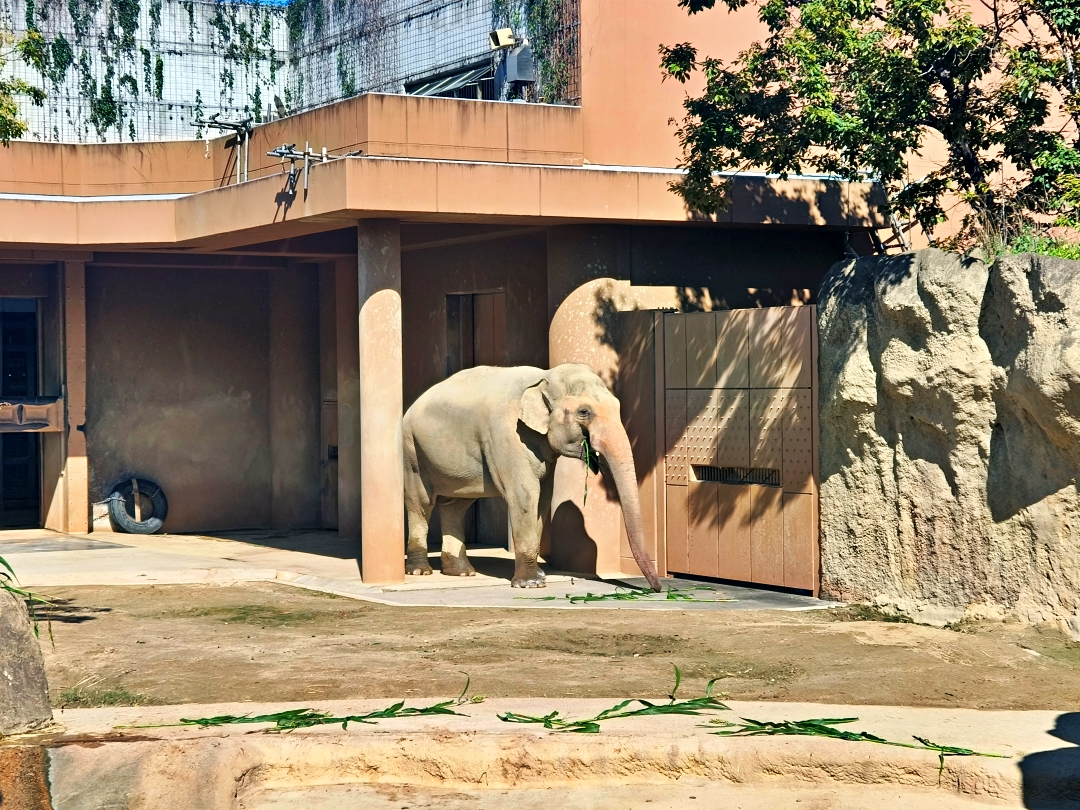 名古屋之旅6