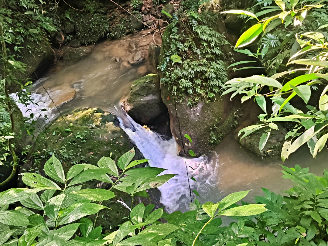 新北之旅~ - 第3張圖 新北之旅~