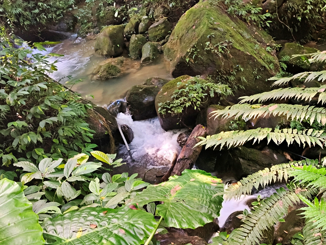 新北之旅~ - 第4張圖 新北之旅~