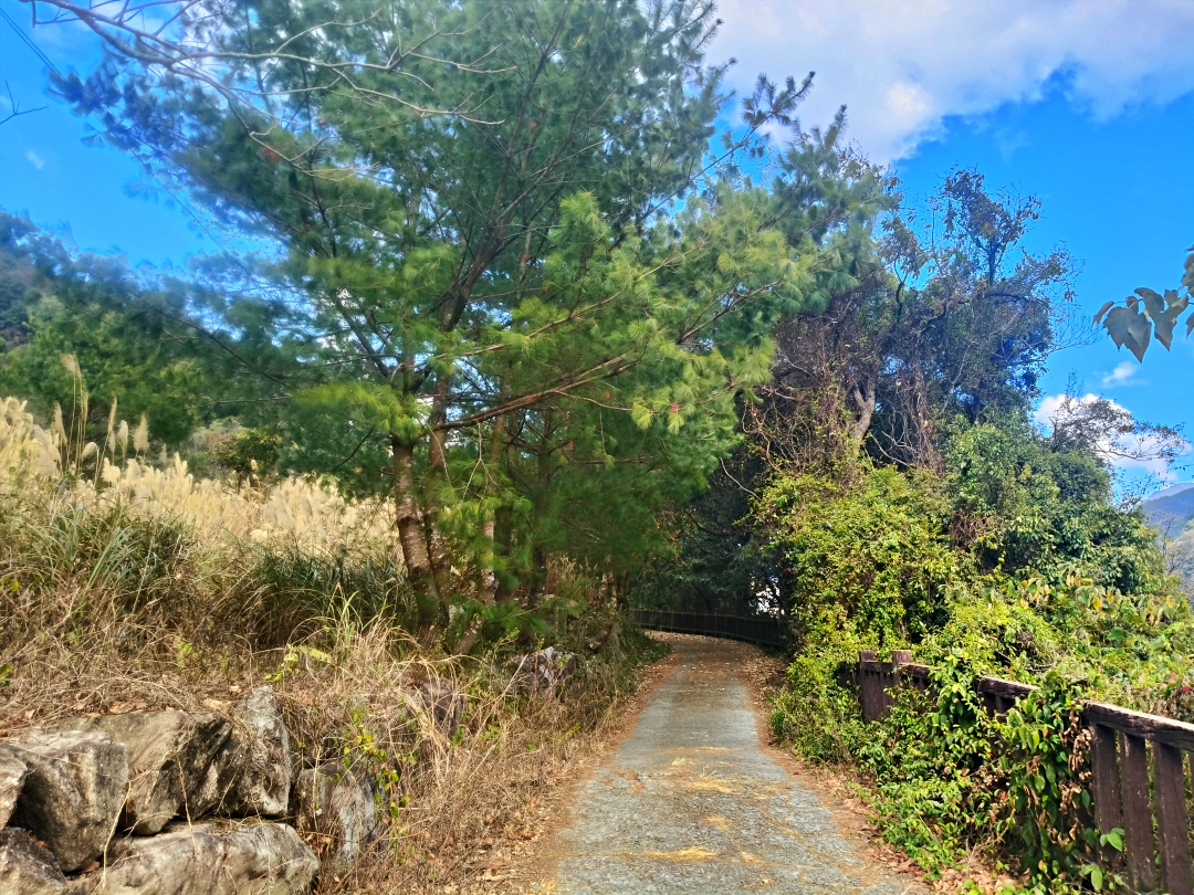 谷關爬山露營趣