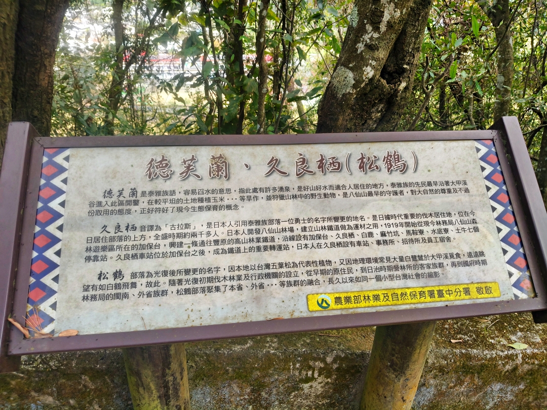 谷關爬山露營趣
