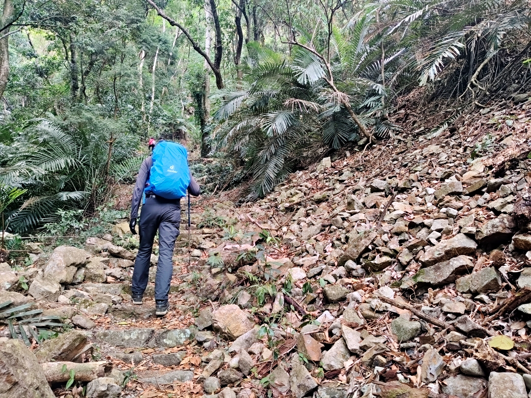 谷關爬山露營趣