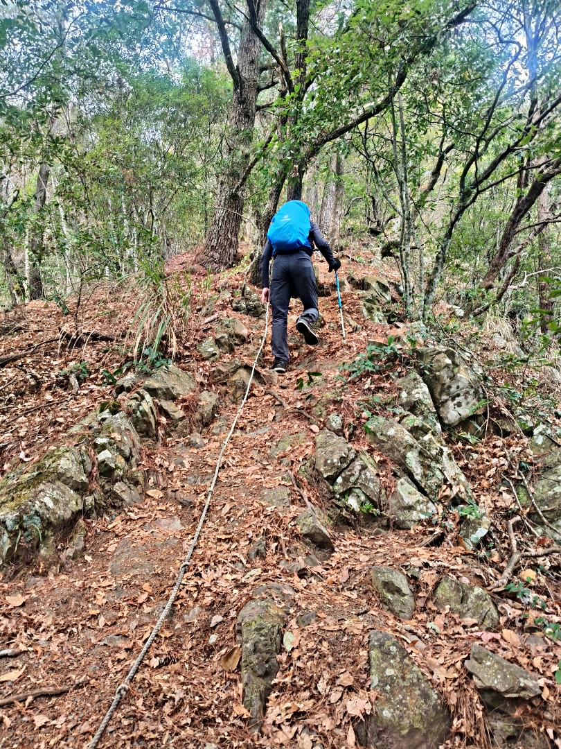 谷關爬山露營趣