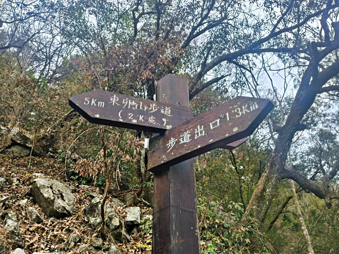 谷關爬山露營趣