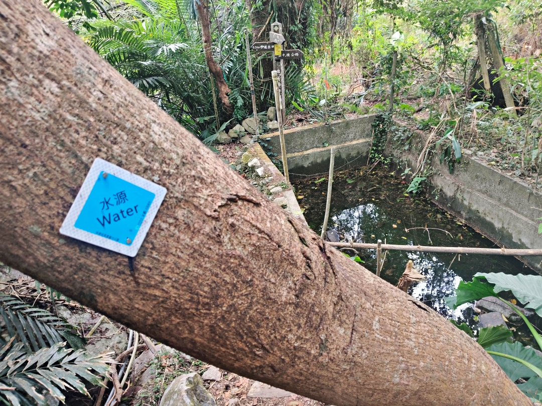 谷關爬山露營趣