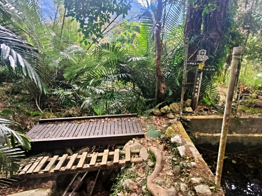 谷關爬山露營趣