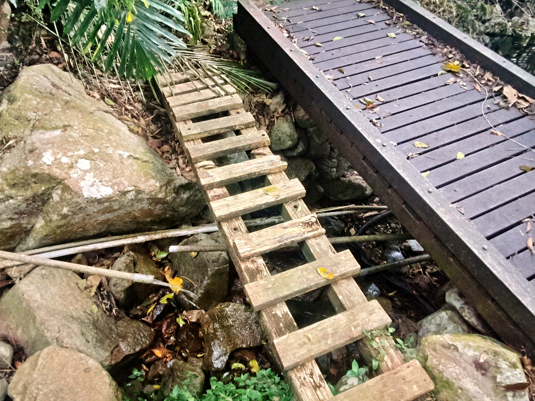 谷關爬山露營趣