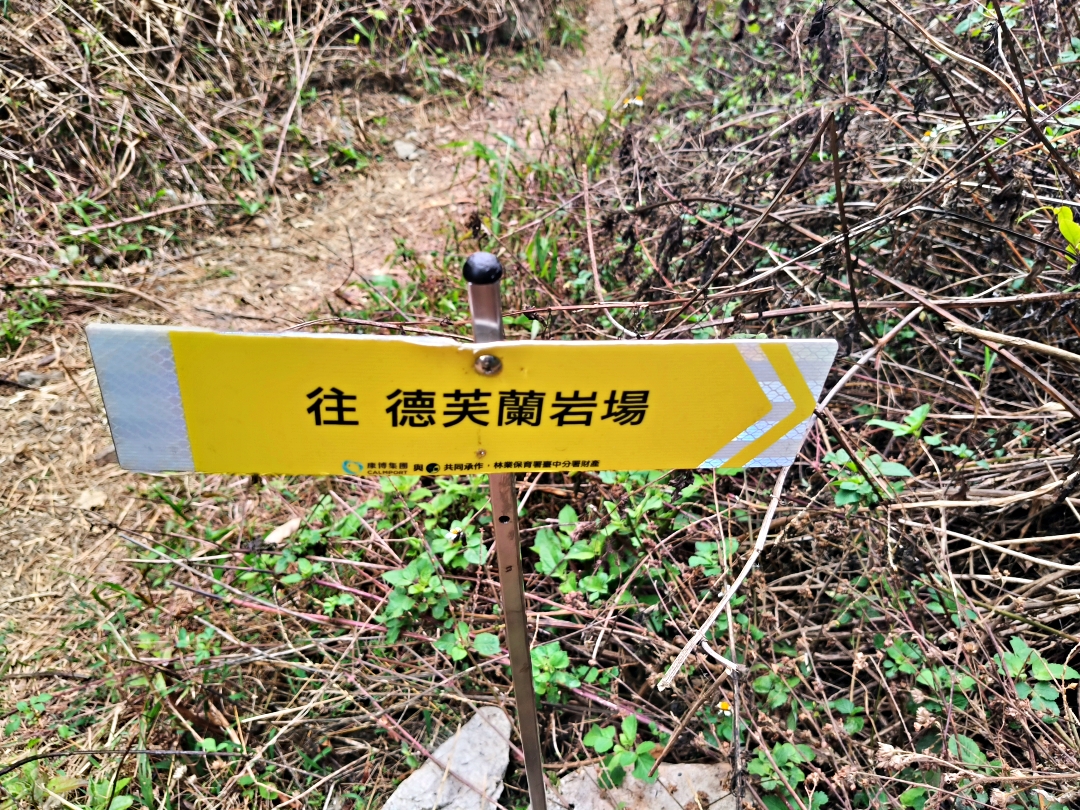 谷關爬山露營趣