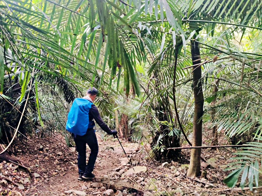 谷關爬山露營趣